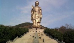 大佛最新爆料新闻报道,揭秘娱乐圈惊人内幕